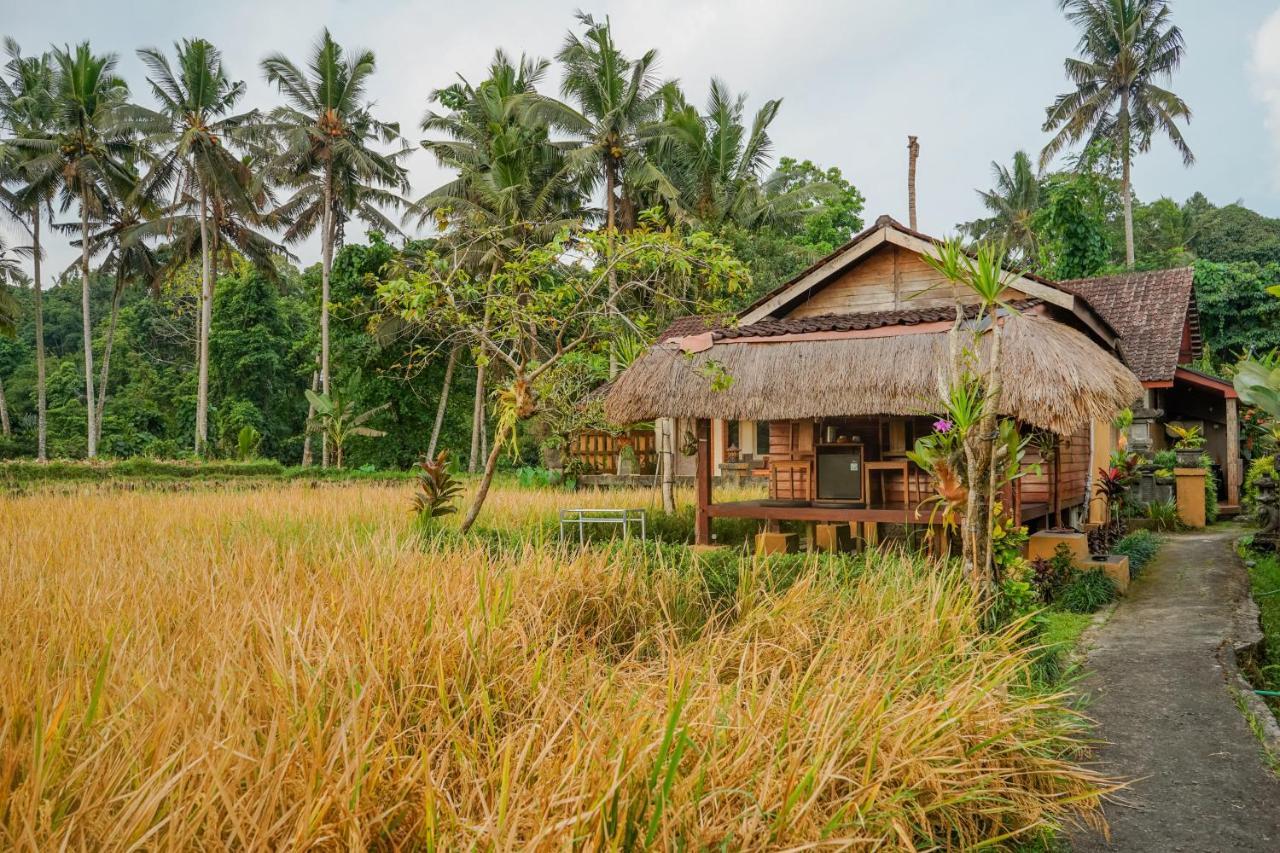 Villa Jj And Spa Ubud Exterior foto